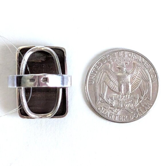 NWT Russian Russia Sterling Silver 925 Brown Petrified Wood Earrings & Ring Set - Picture 14 of 16